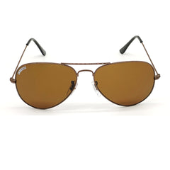 Astor Aviator Brown-Brown Sunglasses For Men & Women~CT-3025