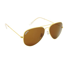 Astor Aviator Brown-Gold Sunglasses For Men & Women~CT-3025